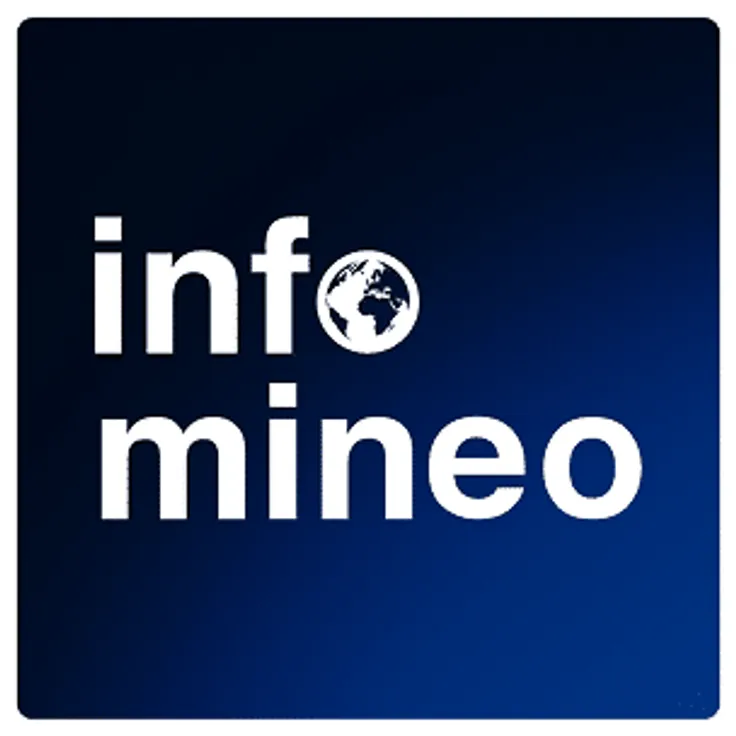 infomineo expert network logo