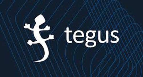 Tegus expert network logo